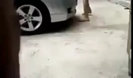 Llegar стигнем секс камери до съседа ¶